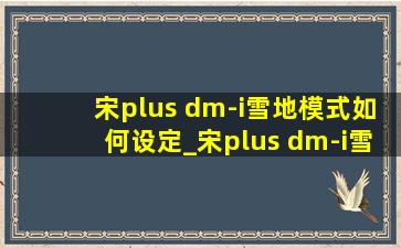 宋plus dm-i雪地模式如何设定_宋plus dm-i雪地模式